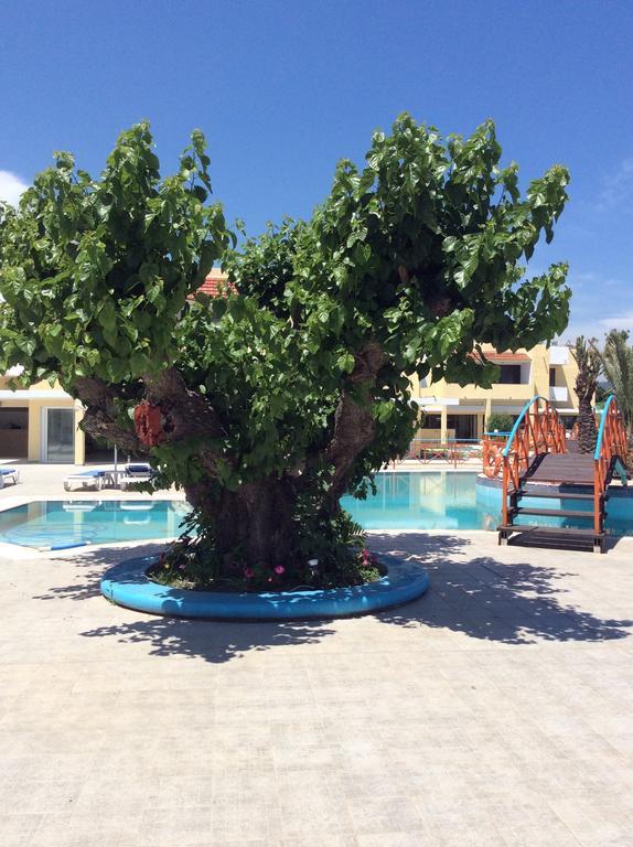Angelos Beach Hotel Фалираки Экстерьер фото